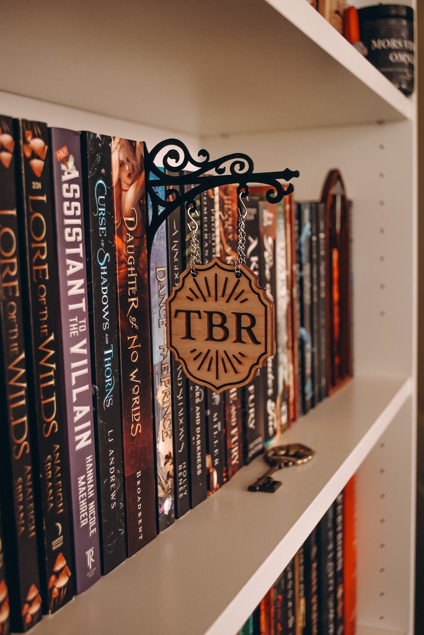 "TBR" Bookshelf Tavern Sign